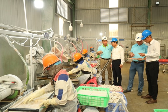 Nghĩa Đàn nỗ lực đẩy nhanh tiến độ xây dựng huyện nông thôn mới