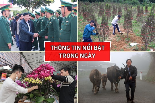 Nghệ An: Thông tin nổi bật ngày 31/1