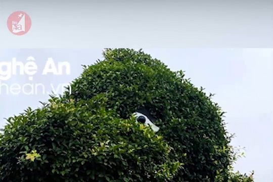 TP Vinh lên tiếng về 'con rồng' xôn xao mạng xã hội