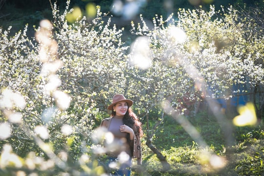 Cận cảnh thung lũng mận Mường Lống mùa hoa nở