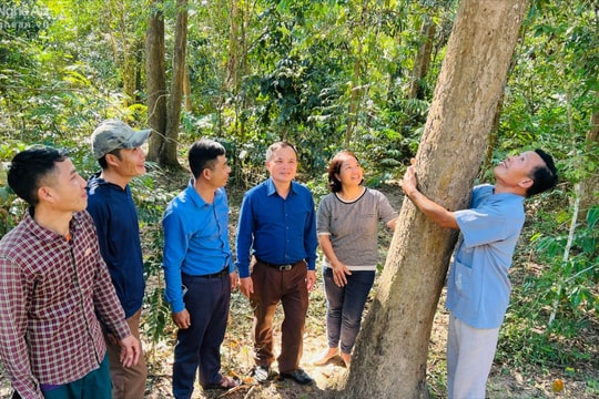 Báu vật xanh ở Na Hang
