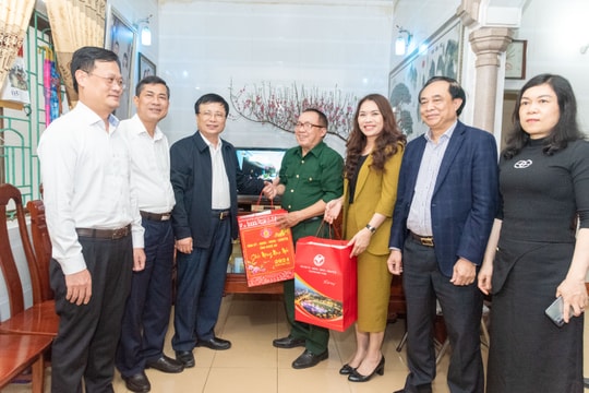Phó Chủ tịch Ủy ban nhân dân tỉnh Bùi Đình Long thăm, chúc Tết gia đình thương binh, nghệ sĩ