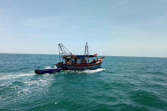 Tạo đột phá về thực thi pháp luật, kiểm tra tàu cá hoạt động trên biển năm 2024 