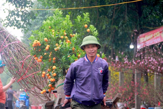 Cần mẫn 'chở Tết' cho khách