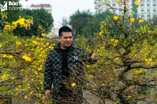 Dự báo thời tiết Nghệ An ngày 7/2: Chuẩn bị đón gió mùa đông bắc và rét