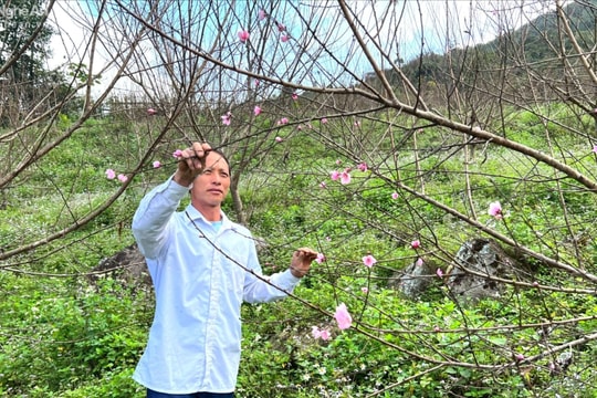 ‘Người đứng mũi’ ở Thằm Thẩm