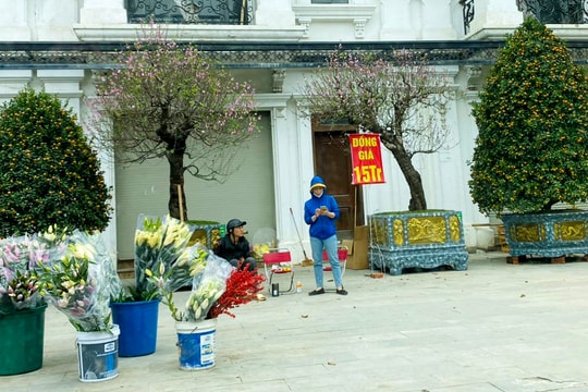 Người buôn cây cảnh Tết ở Vinh đồng loạt 'xả hàng' ngày 28 Tết