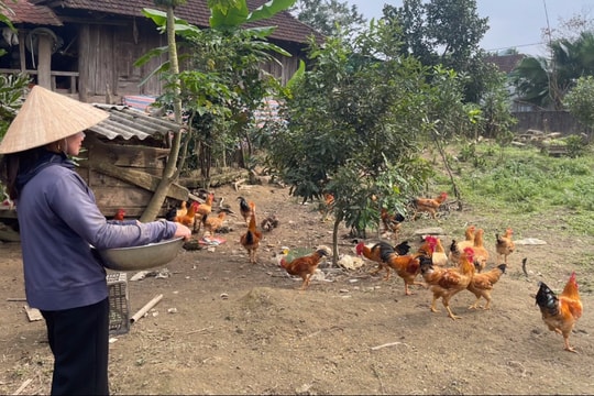 Xuân về trên vùng đất mới