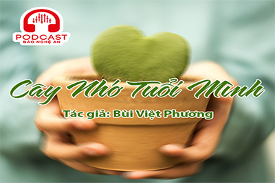 Đọc truyện đêm khuya: Cây nhớ tuổi mình (Nhà văn Bùi Việt Phương)