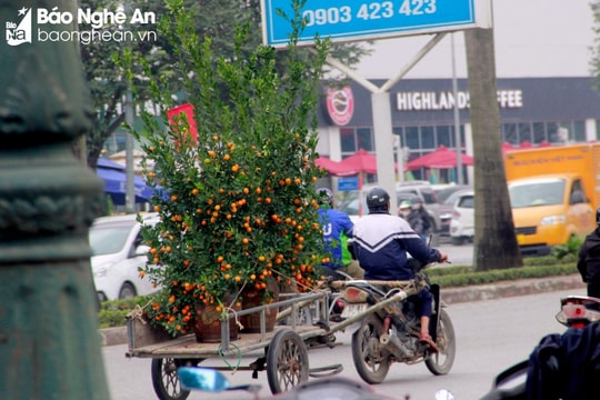 Dự báo thời tiết tỉnh Nghệ An từ 30 tháng Chạp đến mồng 6 Tết 