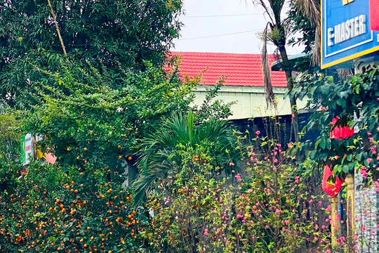 Điểm tin ngày 9/2