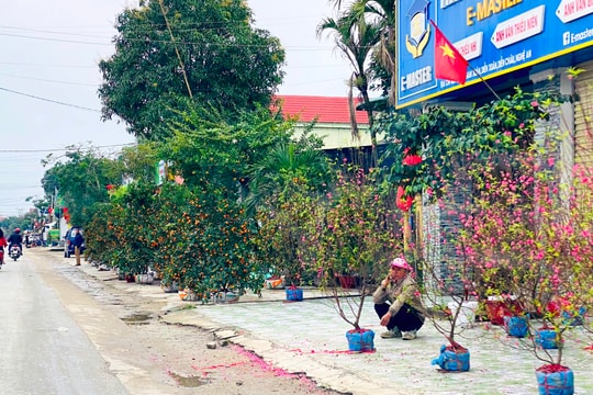 Đào, quất ế ẩm, giảm giá kịch sàn vẫn đìu hiu ngày 30 Tết