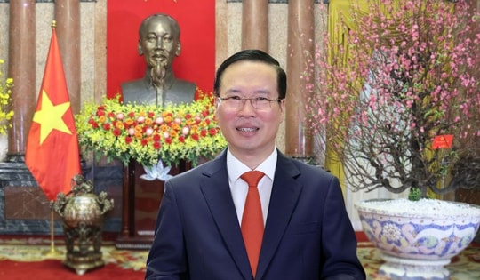 Chủ tịch nước Võ Văn Thưởng chúc toàn dân năm Giáp Thìn sức khỏe, bình an, thành công và hạnh phúc