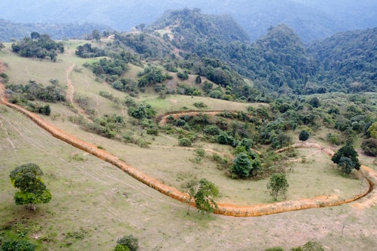 Lên núi cao xem những đường hào dài hàng nghìn mét ngăn trâu, bò để trồng rừng thay thế