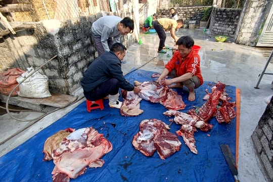 Người dân Nghệ An rộn ràng đụng lợn ngày Tết