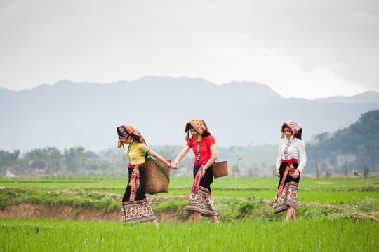 Dự báo thời tiết Nghệ An ngày 11/2 (mồng 2 Tết)