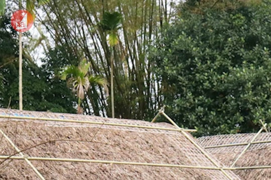 Điểm tin ngày 11/2