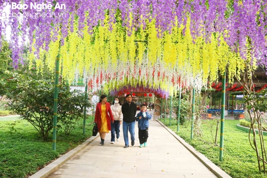 Dự báo thời tiết Nghệ An ngày 13/2 (mồng 4 Tết) 