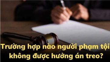 6 trường hợp người phạm tội không được hưởng án treo