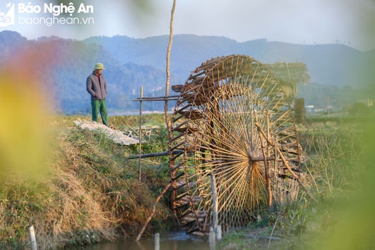 Dự báo thời tiết Nghệ An ngày 17/2: Sương mù nhẹ rải rác, ngày trời nắng