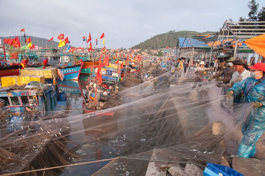 Ngư dân Nghệ An phấn khởi đón 'lộc biển' đầu năm