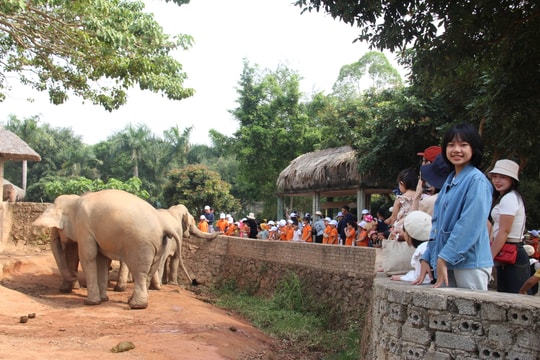 Nhiều điểm du lịch sinh thái, văn hóa tâm linh ở Nghệ An hút khách đầu Xuân