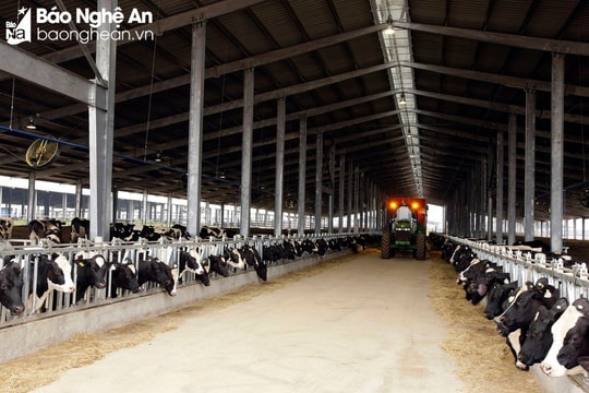 Nghệ An có 6 doanh nghiệp nông nghiệp ứng dụng công nghệ cao