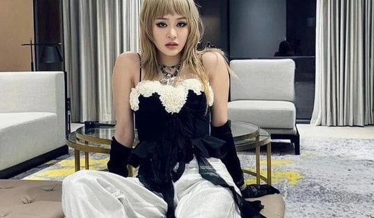 Bị chất vấn 'đang làm nghề gì', Hiền Hồ lên tiếng