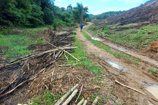 Giao đúng đối tượng, sử dụng hiệu quả 181,8 ha đất ở xã Châu Bình (Quỳ Châu)