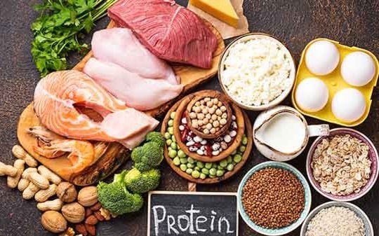 Các loại thực phẩm giàu protein và ít chất béo
