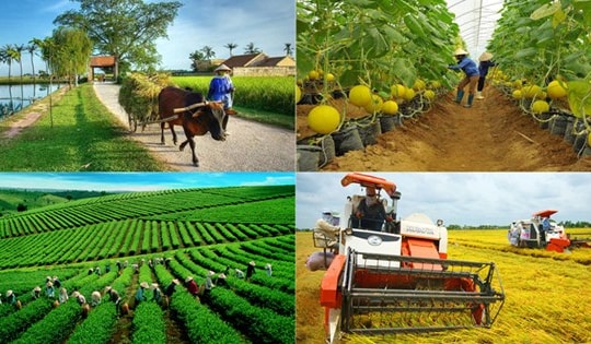 Tổng điều tra nông thôn, nông nghiệp cả nước vào ngày 1/7/2025