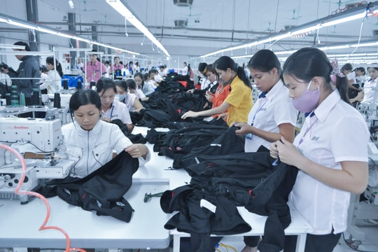 Phát huy vai trò đảng viên trong thực hiện nhiệm vụ chính trị