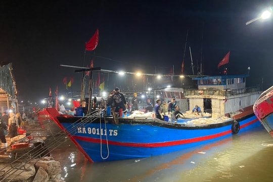 Tàu về nghỉ Rằm, mang theo nhiều hải sản có giá trị