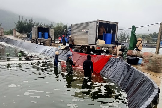 Ra Tết, tôm thương phẩm ở Nghệ An khan hàng, giá tăng cao