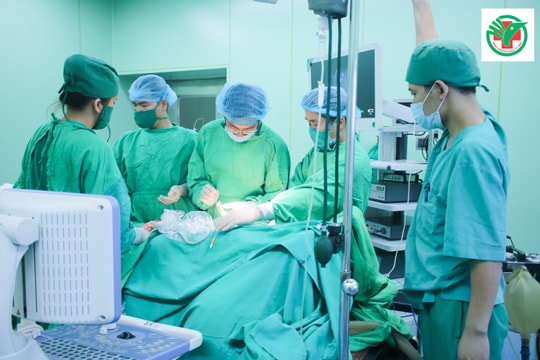 Nghệ An sắp xếp, giảm 222 đơn vị hành chính sự nghiệp công lập