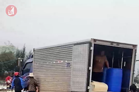 Sau Tết, tôm thương phẩm khan hàng, giá tăng cao