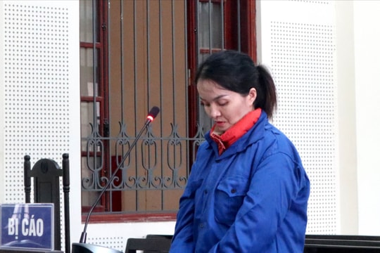 'Nữ quái' lừa góp vốn buôn bán nông sản rồi chiếm đoạt hơn 7,7 tỷ đồng