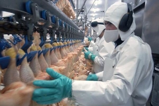 Đồng Yên rớt giá mạnh, lao động Nghệ An ở Nhật càng thêm chật vật