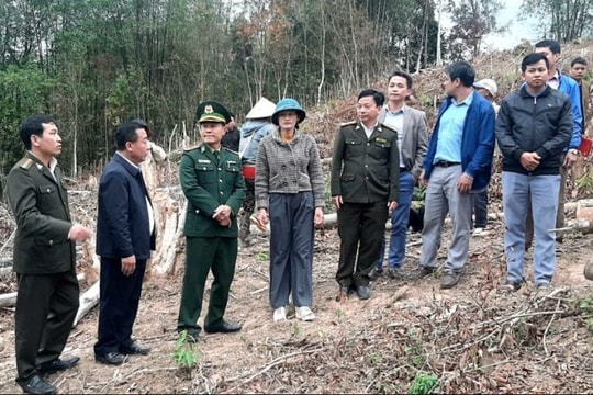 Phó Chủ tịch UBND tỉnh Nguyễn Văn Đệ kiểm tra hiện trường vụ phá rừng ở xã Mai Sơn (Tương Dương)