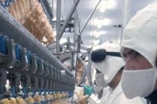 Lao động Nghệ An ở Nhật càng thêm chật vật khi đồng yen rớt giá mạnh