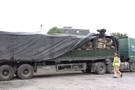 Bắt giữ hơn 480 tấn đá thạch anh trái phép