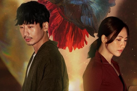 'Mai' của Trấn Thành vượt 500 tỷ, vượt qua bom tấn 4.600 tỷ ở rạp Việt