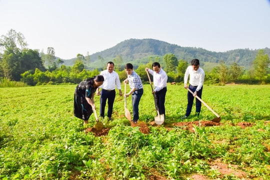 Hội Nông dân tỉnh Nghệ An khởi công dự án nuôi gà công nghệ cao 