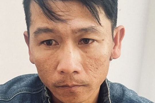 Đặt hàng làm giả 'sổ đỏ' rồi rao bán đất