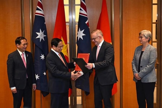 Hãng Reuters viết về 'ngoại giao cây tre' của Việt Nam