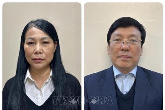 Tạm đình chỉ nhiệm vụ đại biểu Quốc hội với bà Hoàng Thị Thúy Lan