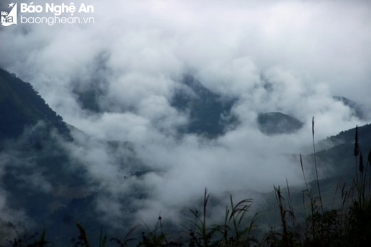 Dự báo thời tiết tỉnh Nghệ An ngày 9/3