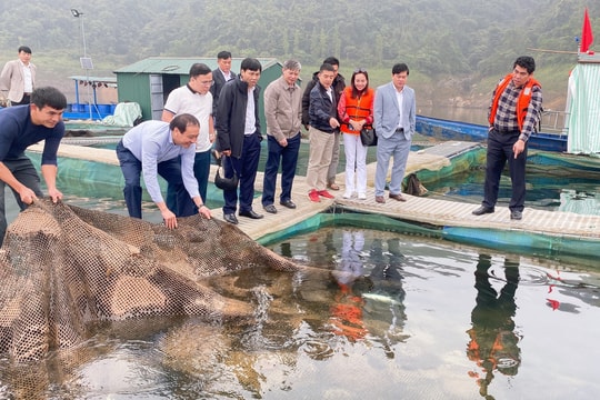 Trao đổi kinh nghiệm thực hiện Chương trình Mục tiêu Quốc gia phát triển kinh tế - xã hội vùng đồng bào DTTS và miền núi tại Thanh Hóa