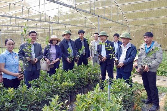 Phó Chủ tịch UBND tỉnh Nguyễn Văn Đệ dự lễ ra quân trồng tre, mét và kiểm tra mô hình nông nghiệp tại Anh Sơn