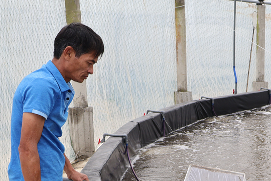 Thuê đất nuôi tôm công nghệ cao nông dân Nghệ An thu tiền tỷ mỗi vụ